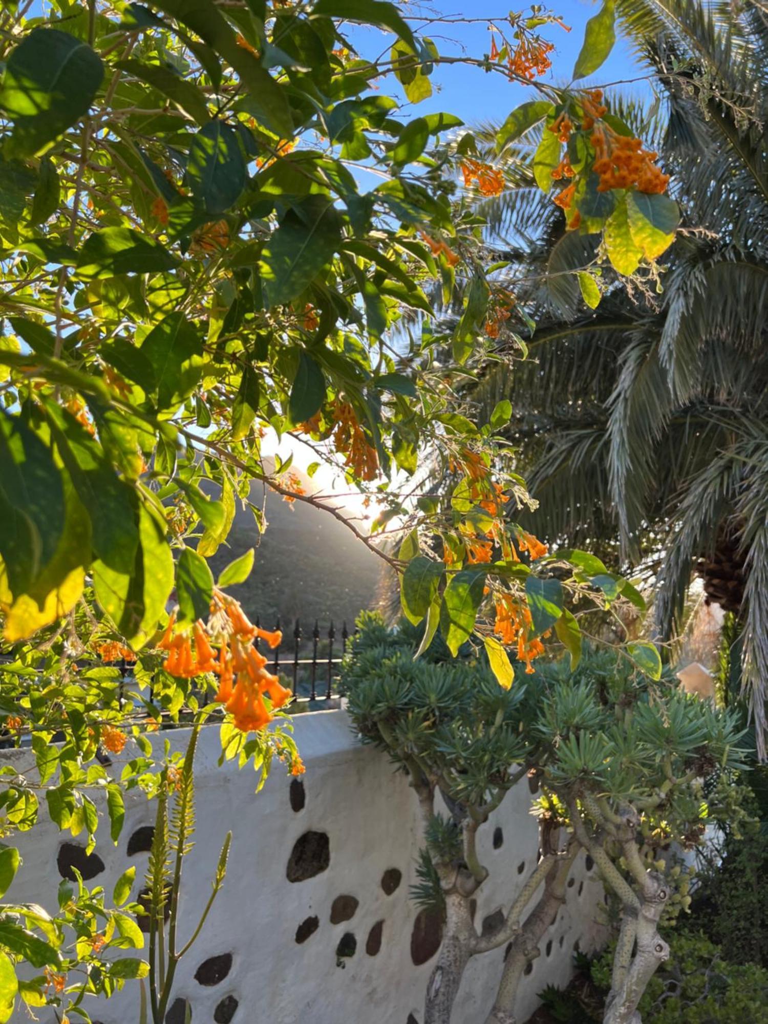 Finca Exclusiv La Mareta อากาเอเต ภายนอก รูปภาพ