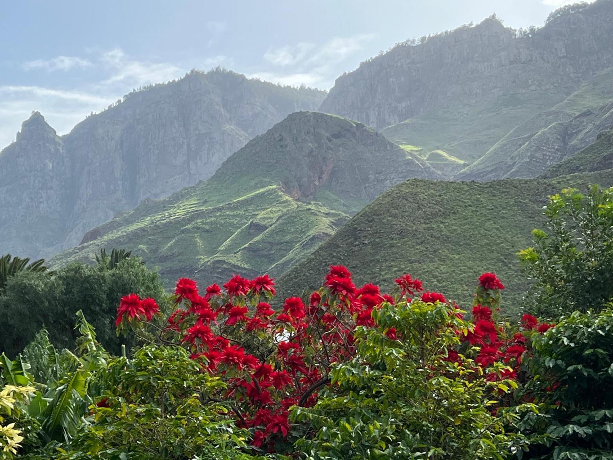 Finca Exclusiv La Mareta อากาเอเต ภายนอก รูปภาพ